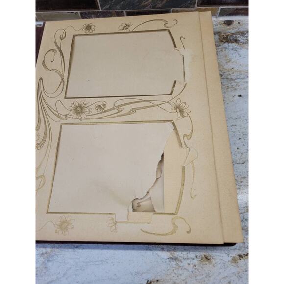 Antique Photograph Album, Celluloid Victorian, Cottage Scene, Wire Metal Holder - Picture 8 of 10